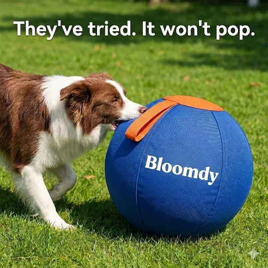 Bloomdy Herding Ball
