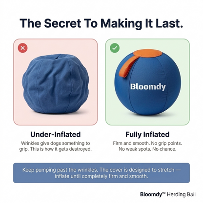 Bloomdy Herding Ball